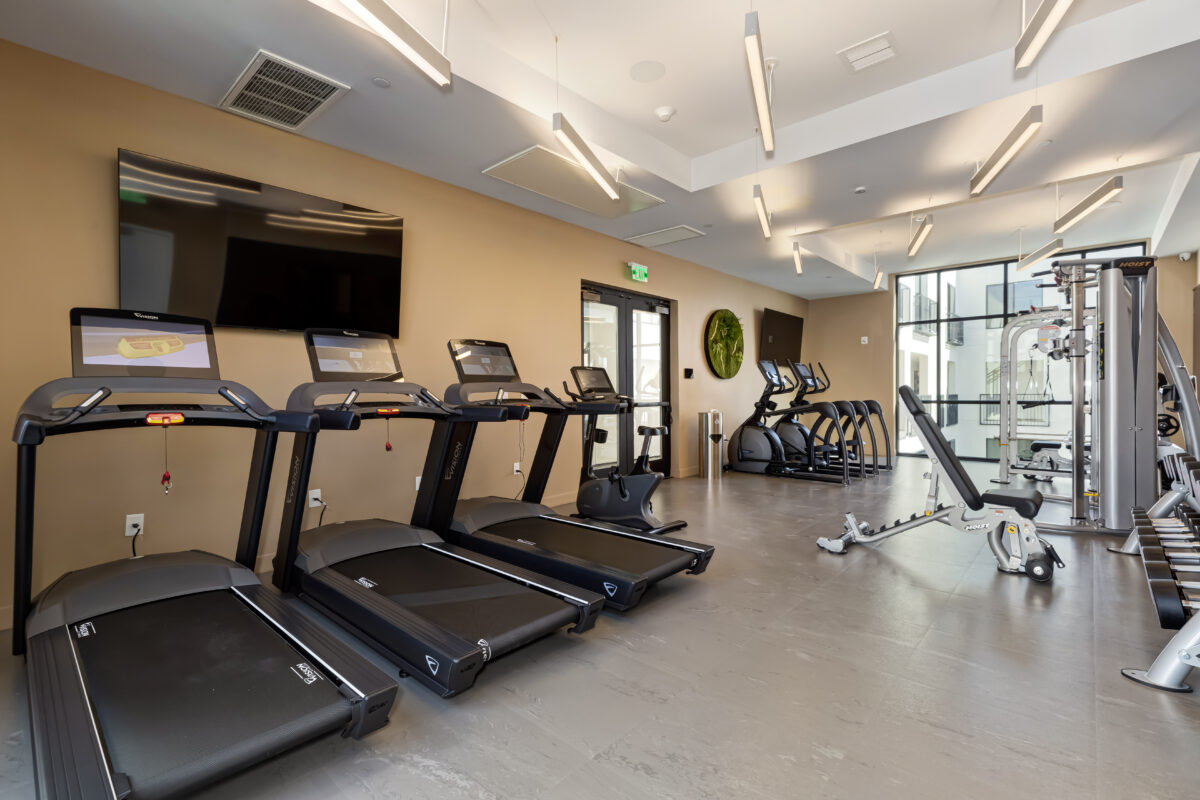Fitness center with free weights and cardio machines
