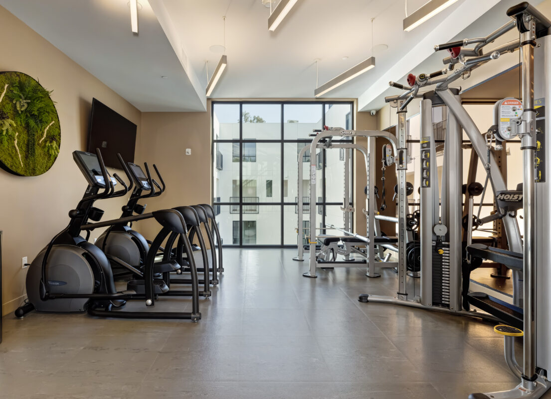 Fitness center with free weights and cardio machines