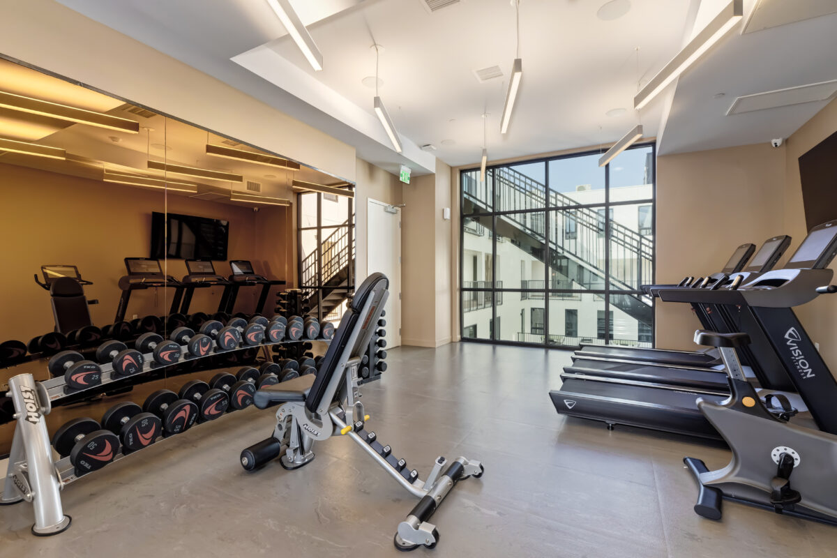 Fitness center with free weights and cardio machines